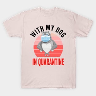 Quarantine Happy Birthday 2020 - Quarantine Gift Idea T-Shirt